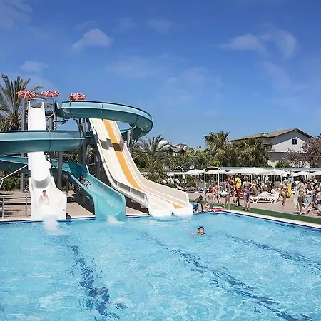 Aydinbey Gold Dreams